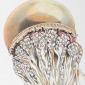 Orange jellyfish