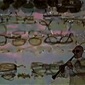 Lisettes Lunettes life