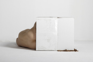 Bill Durgin