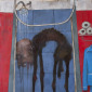 Emancipation