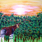 The Lonely Okapi