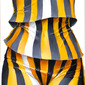 body layers