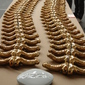 Golden chine / God Spine