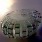 Nautilus 002