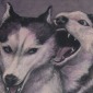 Aggression/Submission II