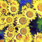Yellow Flowers