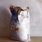 Bag of Plaster