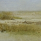 Beach Grasses