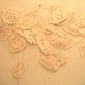 Scattered Remains V