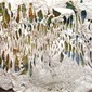 SCALES ©Ula Einstein 