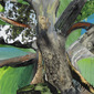 Tree Serie No.8