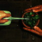 Watering a Plant