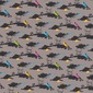 Singing birds / A report from the front