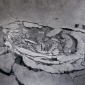 Crater, 2010