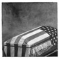 Flag (Draped), 2010