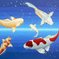 Fixed Stars and Fish