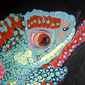 Detail from Chameleon Painting