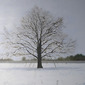 Sachsenhausen
