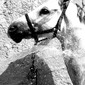 CAVALO TOMANDO BANHO