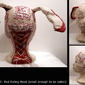 Phrenology (Red Riding Hood) Small Enough to be Eaten