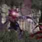 Hatchlings Fighting