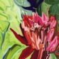 Lotus 3
