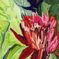 Lotus 3