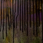 Composition (Nightfall)