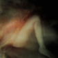 Kalliope Amorphous