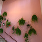 Ilhas | Island