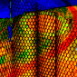 Fishnet