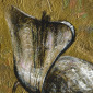 Grigorii Pavlychev
