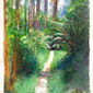 Kallista Track