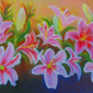Oriental Lilies
