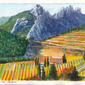 Languedoc Autumn