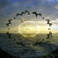 Dance of births