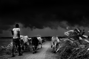 Arup Ghosh