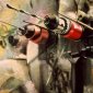 don quichotte