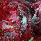 Broken Glass