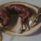 Skinned Rabbit