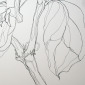 drawing 1