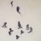 shadowgraphy
