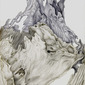 Jeannine Cook