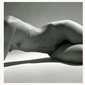 Reclined Nude 