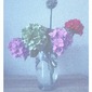 Natura Morta (pastel)