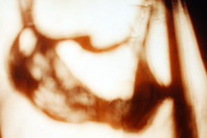 Julia Wynn Safer