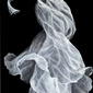 Whirl
