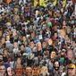 Volteados
