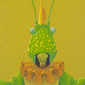 Copiphora rhinoceros