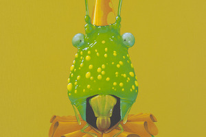 Jasper Oostland